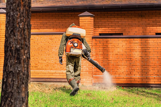 Trusted Mosquito Control service in Lebanon, OR - Nex Pest Control